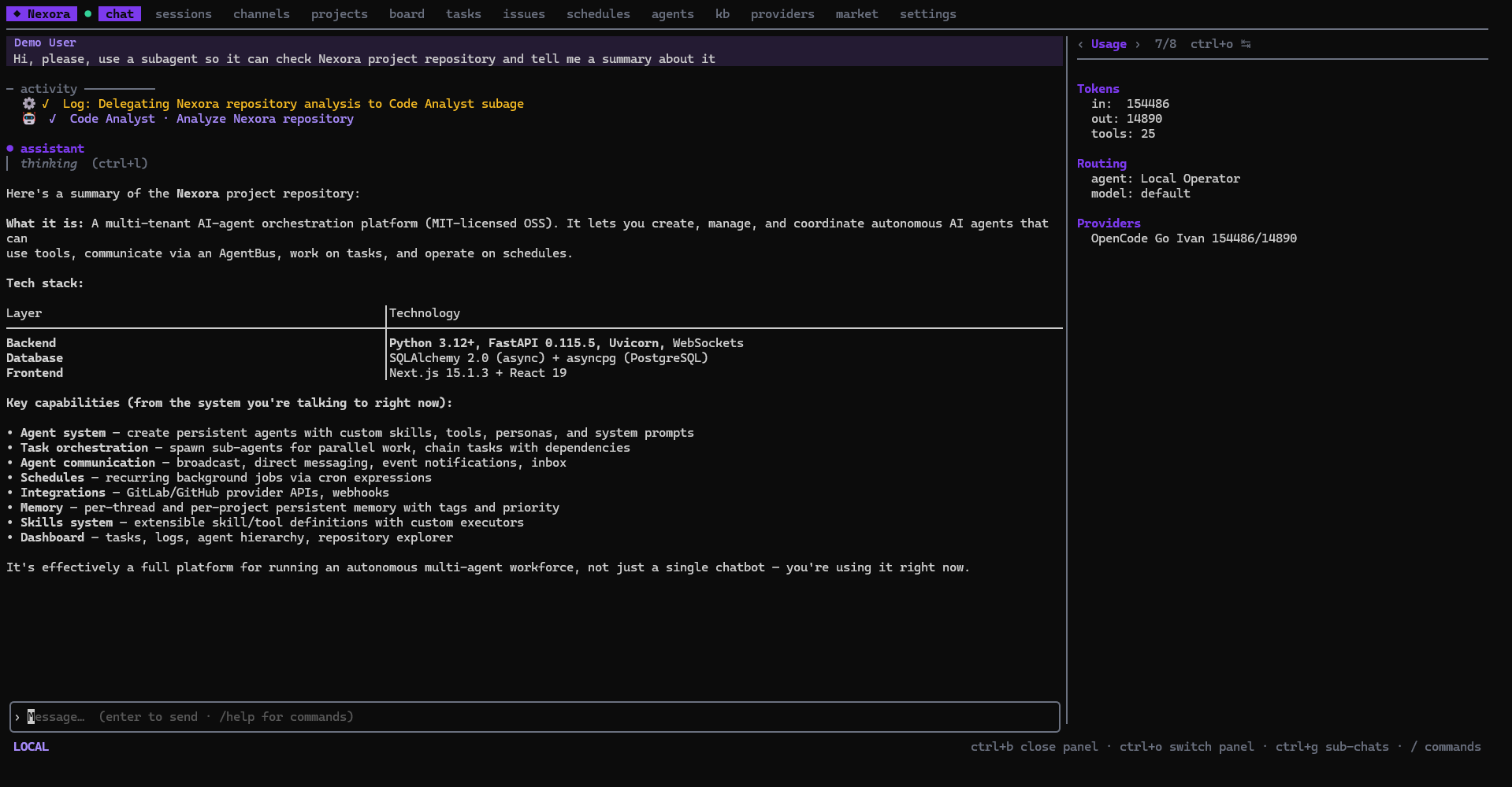 Chat sidebar showing the usage panel